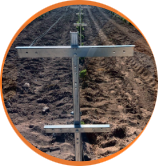 Telli Terbiye Sistemleri