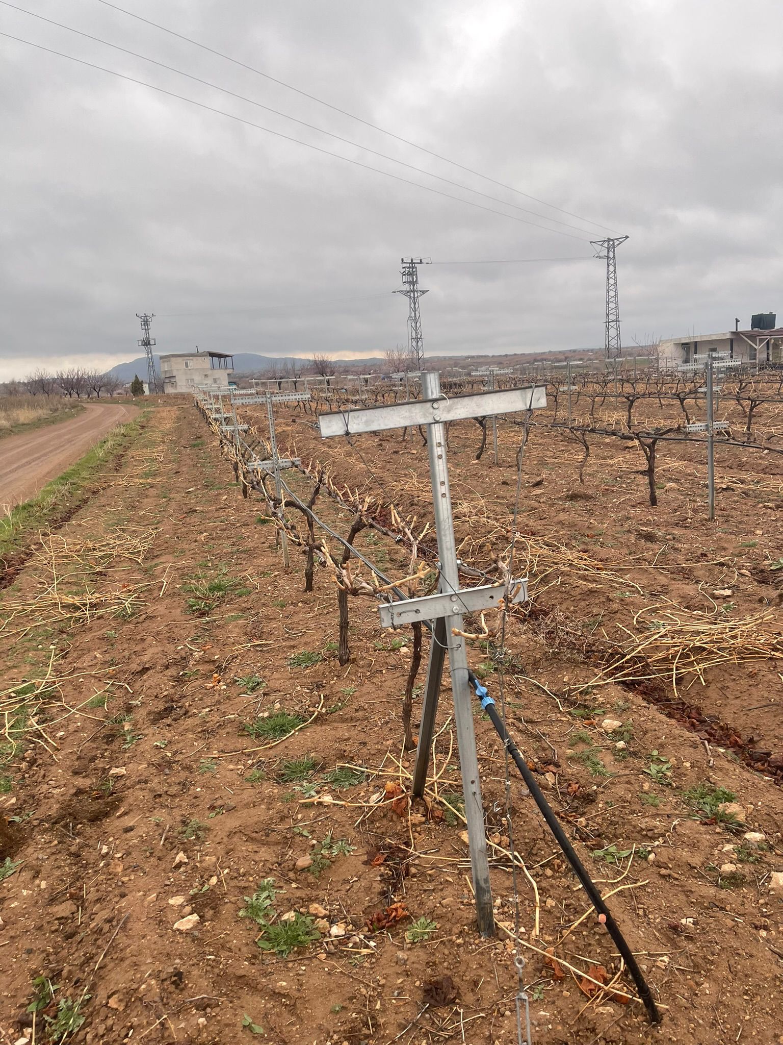 Telli Terbiye Sistemleri