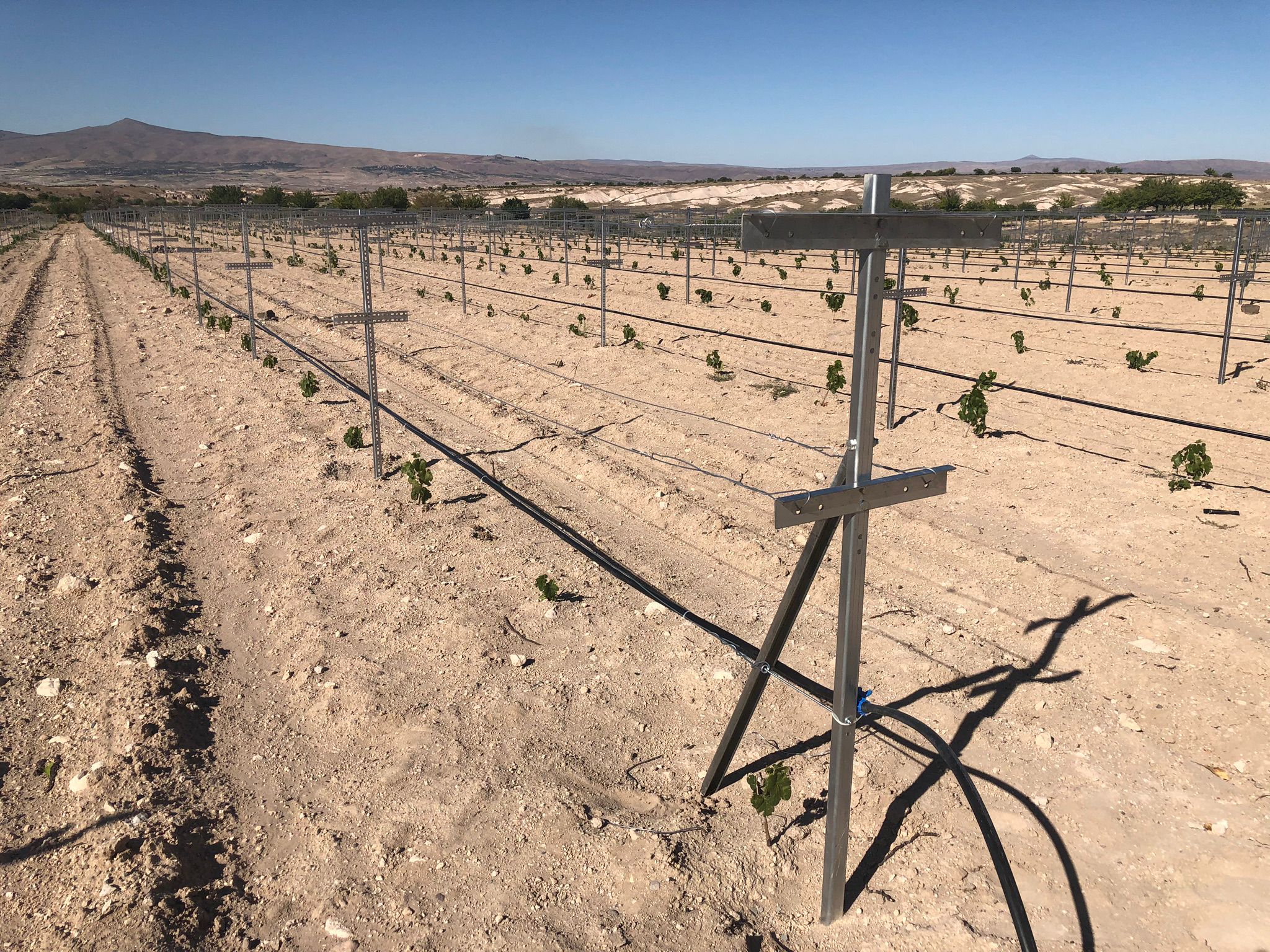 Telli Terbiye Sistemleri