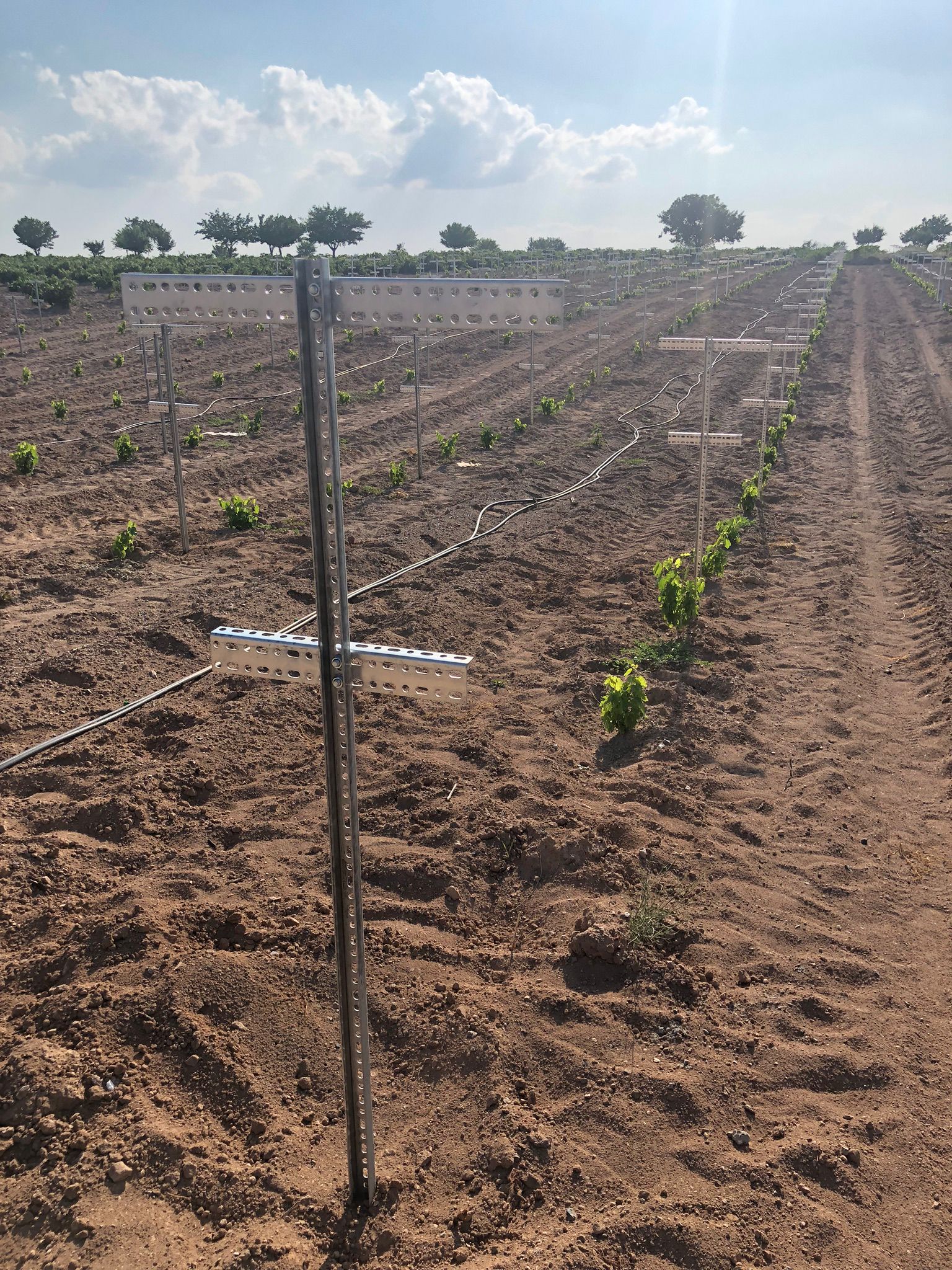 Telli Terbiye Sistemleri