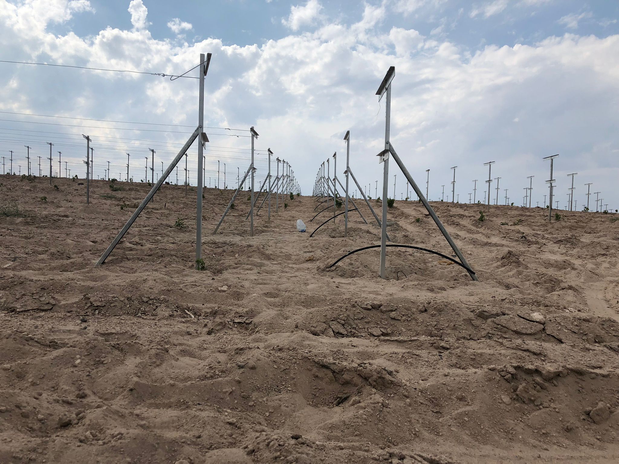 Telli Terbiye Sistemleri