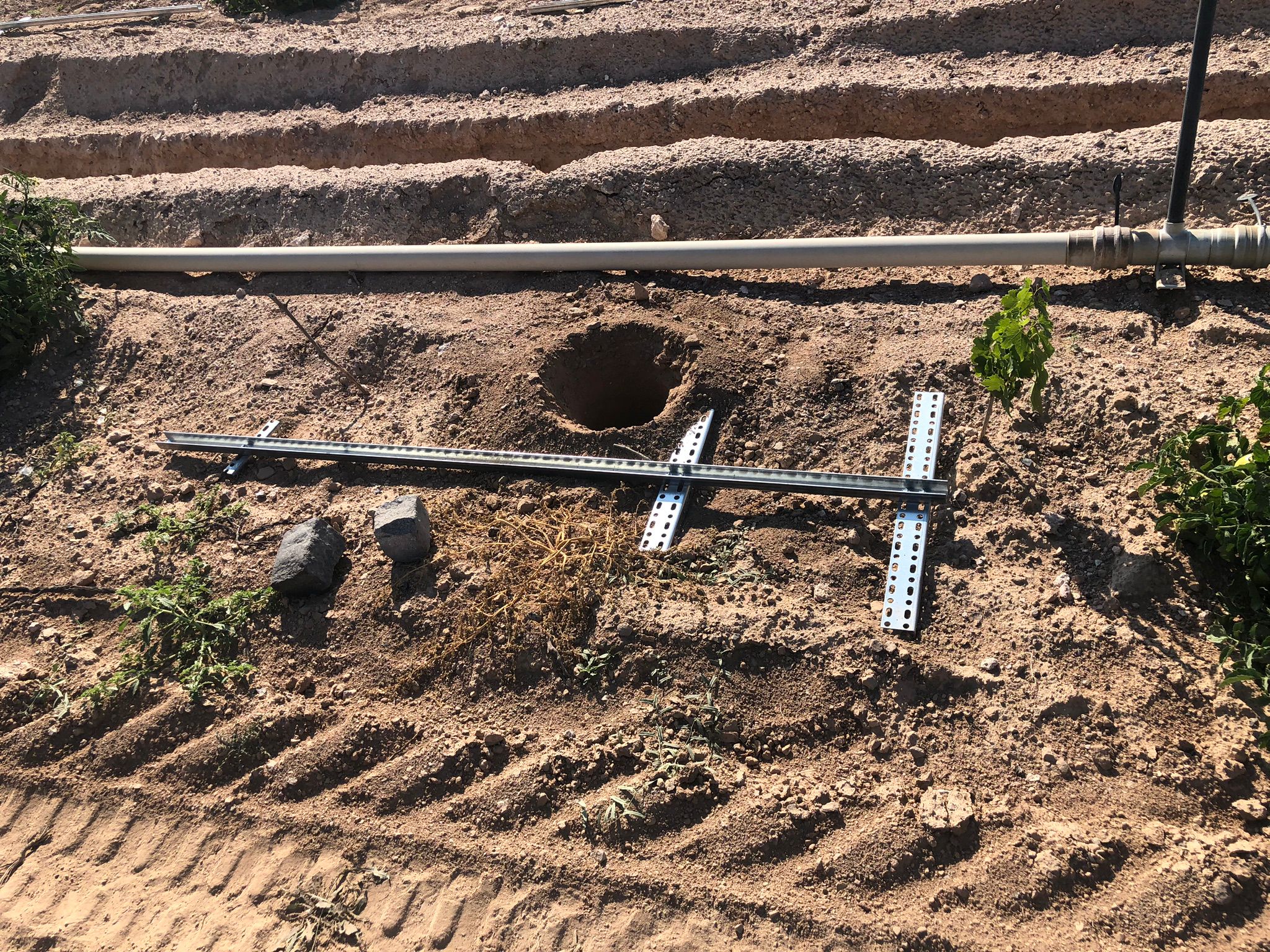 Telli Terbiye Sistemleri